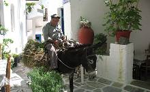 Naxos villages (Koronos village)